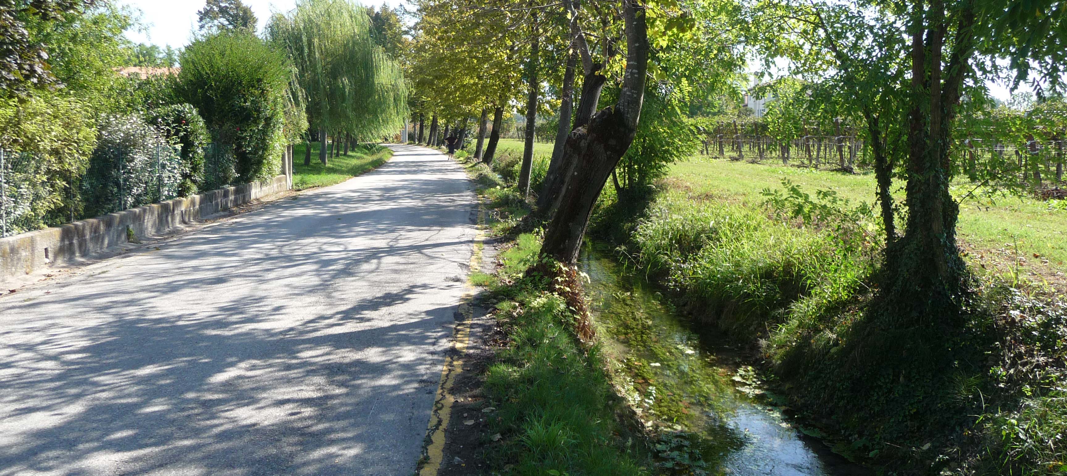 Sei alla ricerca di una avventura sessuale a Breda di Piave?